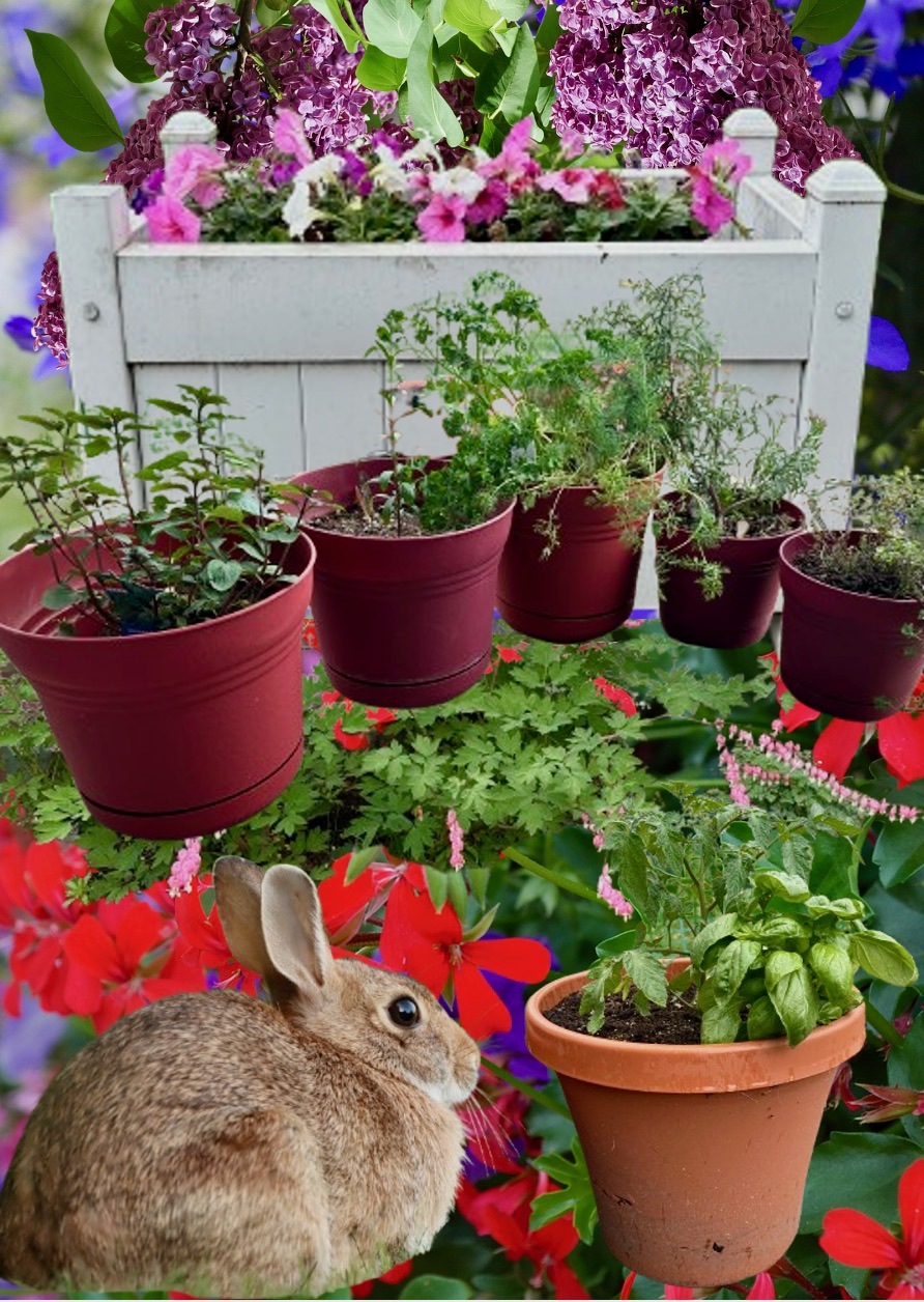 19 Garden